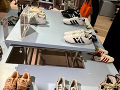 -Apollo·西班牙小酒馆(安福路店)