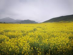 -扁都口生态休闲旅游区