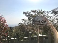 -长沙黑麋峰国家森林公园