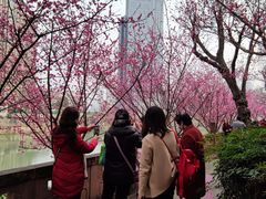 -望江楼公园
