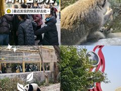 -成都动物园