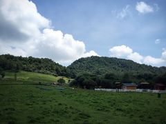 -大水川景区