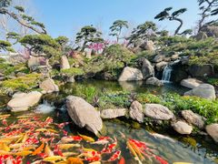 -罗红摄影艺术馆