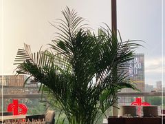 -恰餐厅及酒吧CHAR Bar & Grill(北京三里屯洲际店)