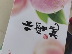 -老袁家蜜桃农场·阳山水蜜桃