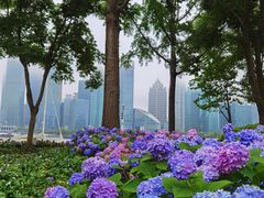 -北外滩滨江绿地