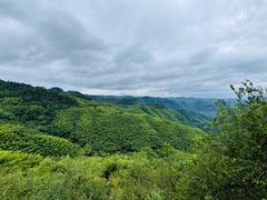 -四明山国家森林公园