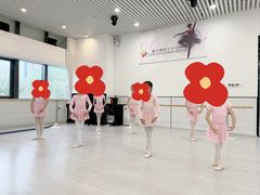 -星光舞蹈艺术中心•芭蕾舞•中国舞(太阳宫校区)