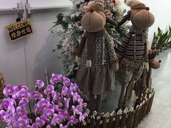 -开间茶馆·围炉煮茶
