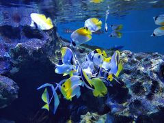 -海合安成都极地海洋公园