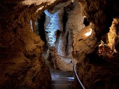 -怀托摩萤火虫洞