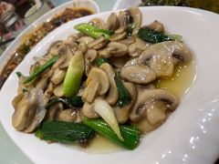 小炒蘑菇-陈胖子特色菜.鲜货现炒(融景城店)