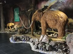 -抚顺煤矿博物馆