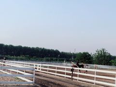 -月河湾马术俱乐部(朝阳店)