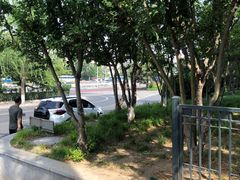 -顺城公园