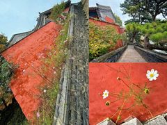 -妙峰山风景名胜区