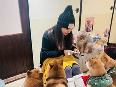 -逗柴咖啡屋·狗咖猫咖宠物桌游