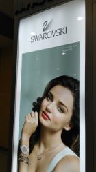 -SWAROVSKI(虹口凯德龙之梦店)