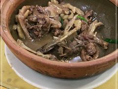-粤顺食鸽专门店