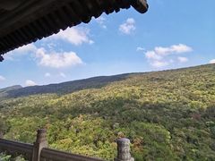 -灵谷景区
