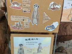 -正佳雨林生态植物园
