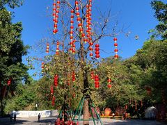 -广州市白云山风景名胜区