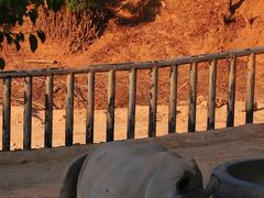 -泉州海丝野生动物世界