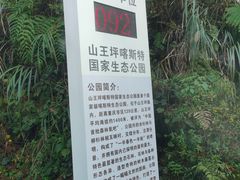 -山王坪喀斯特国家生态公园