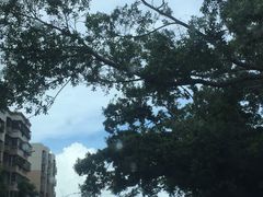 -真功夫(福中路店)