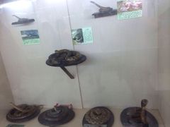 iphone_upload_pic-下渚湖国家湿地公园科普馆