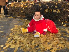 -百林公园-两江幸福广场