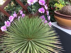 -北京植物园-展览温室