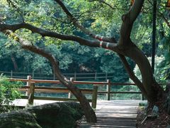 -南京珍珠泉风景区