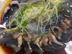 荷花鱼-夏雨路轩特色餐厅·十年经营