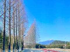 -东天目山风景区