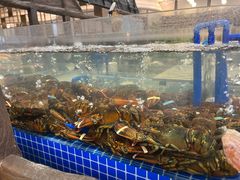 -半岛听涛蒸汽海鲜自助(K11店)
