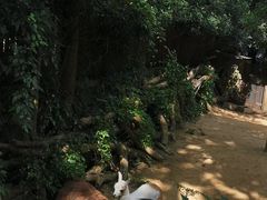 -杭州动物园