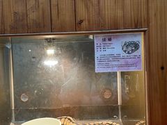 -上海大自然野生昆虫馆(东方明珠·爬宠昆虫探索中心)