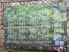 -西溪南古村落