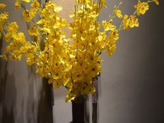-觀芷隐轩