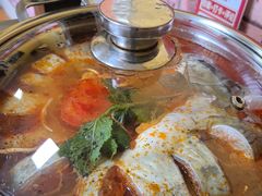 -弘烨 贵州酸汤 鱼火锅(东财店)