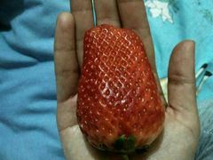 -边江铁锅炖鱼(振八街店)