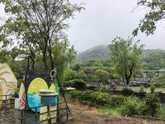 -白马涧龙池景区