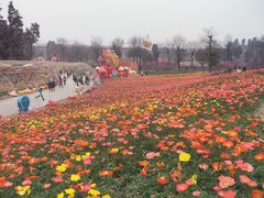 -秀丽东方