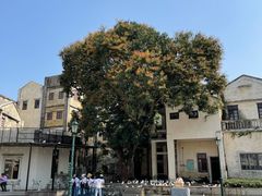 -赤坎·广东华侨国际旅游度假区