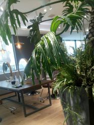 -意廊 Hair Salon
