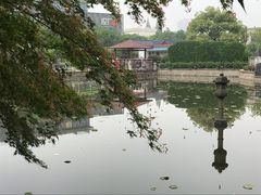 -嘉定紫藤园