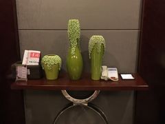 -常州环球恐龙城维景国际大酒店