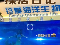 -成都浩海立方海洋公园