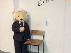 -济州岛泰迪熊博物馆